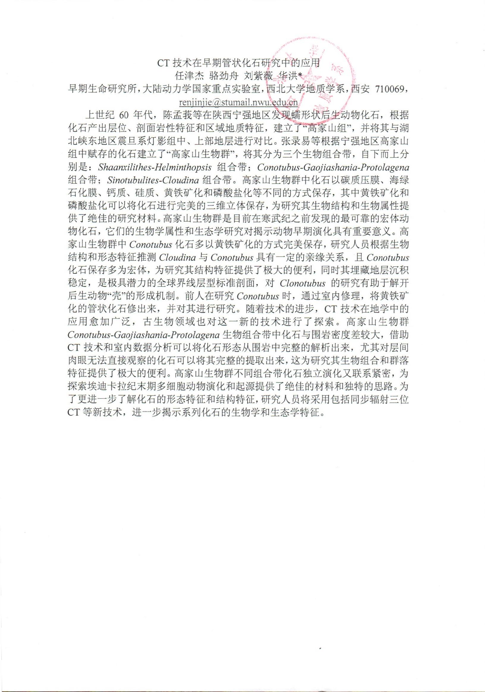 色情视频