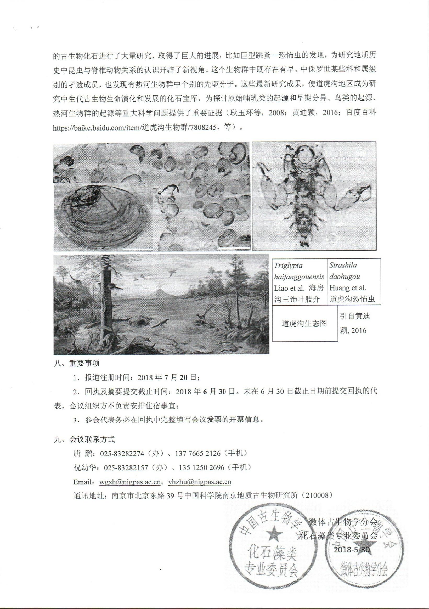 色情视频
