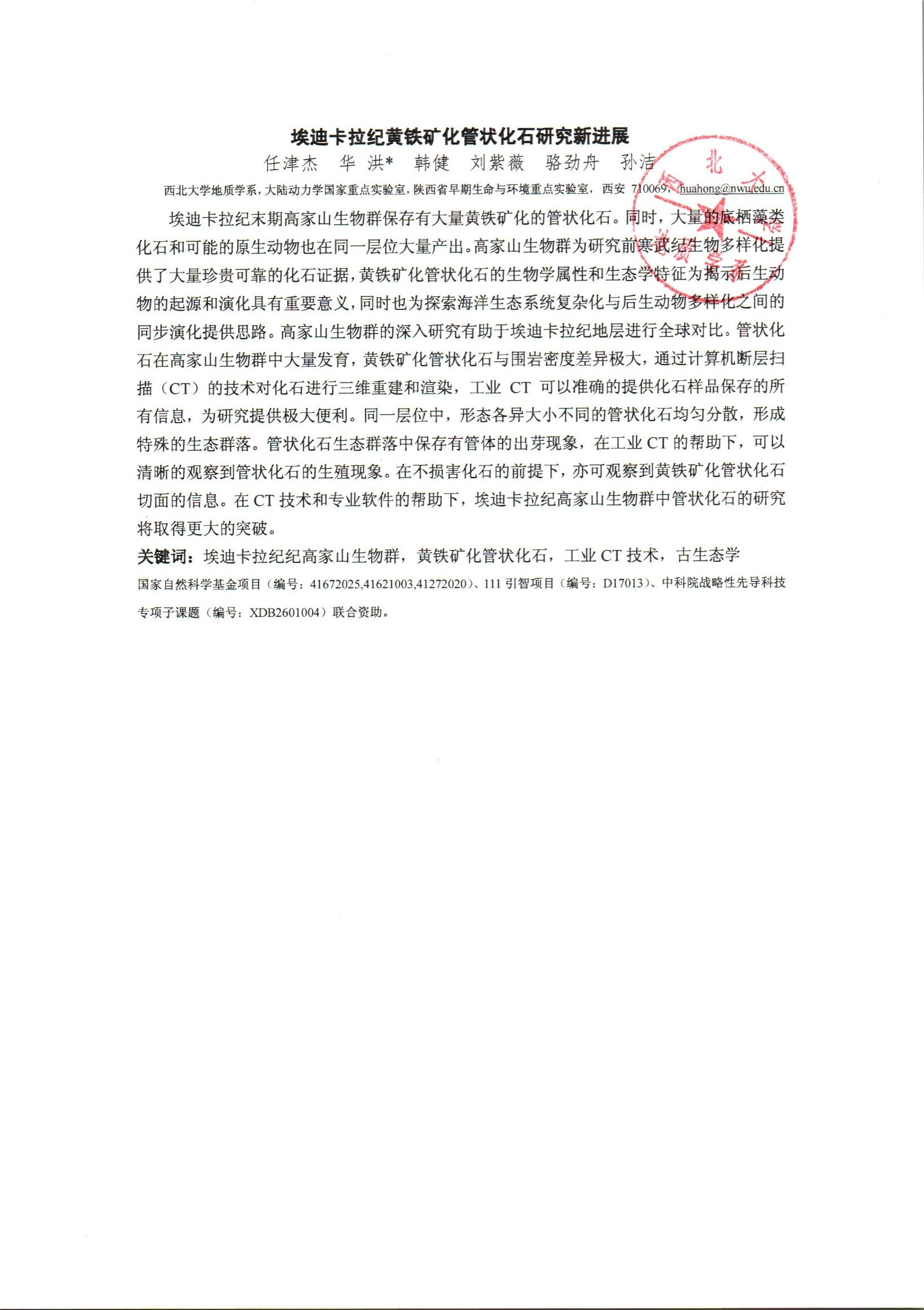 色情视频