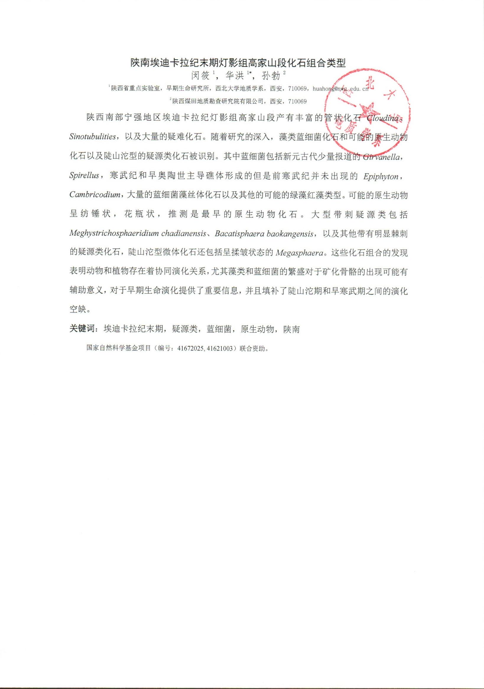 色情视频