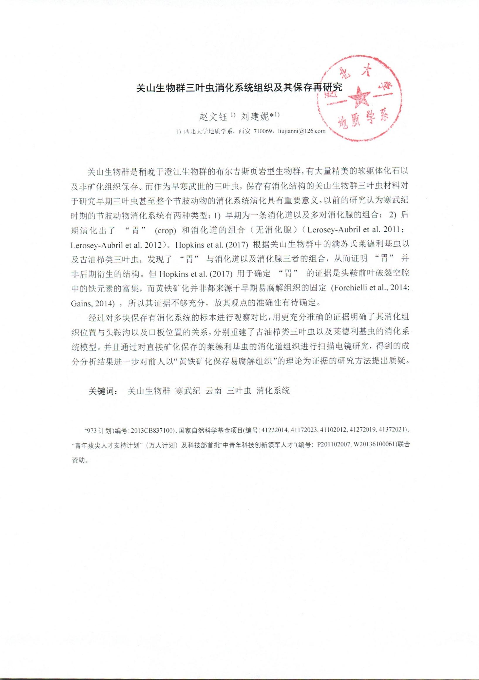 色情视频