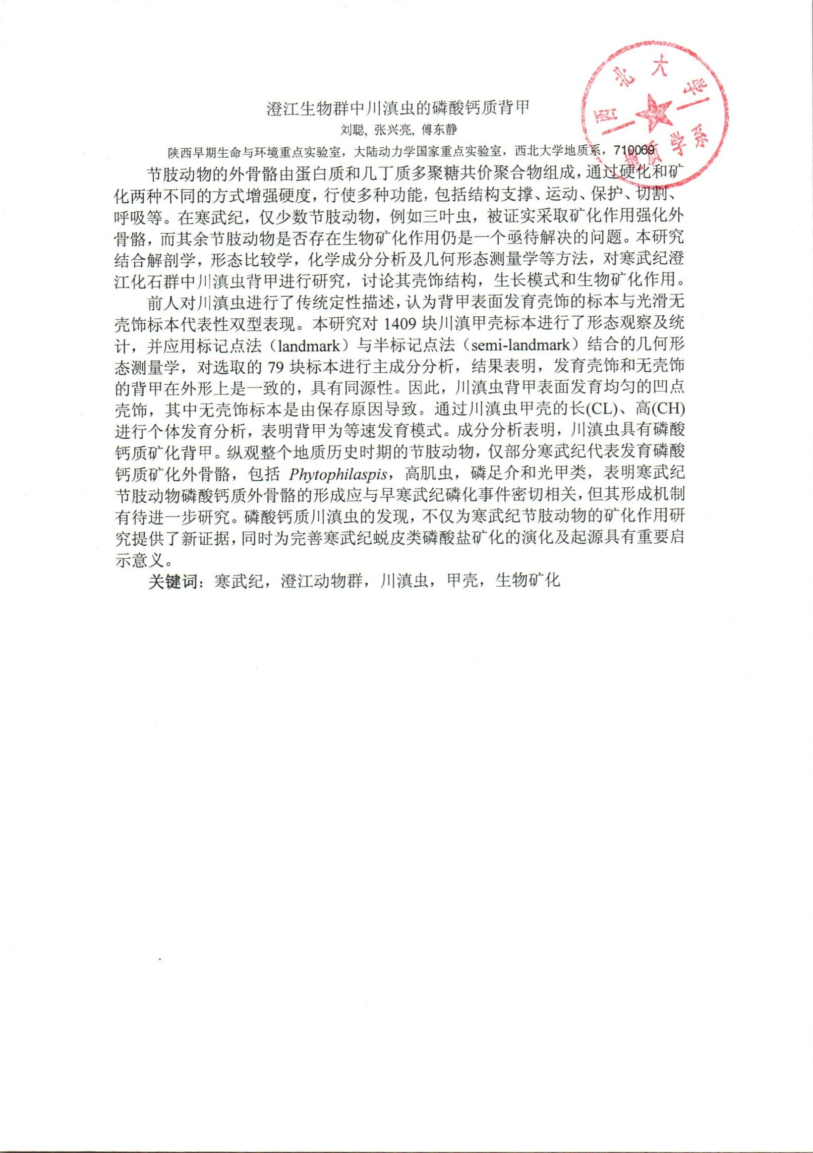 色情视频